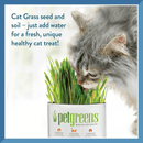Pet Grass Easy-Glow Kit, Garden (Bag) - J & J Pet Club - Pet Greens