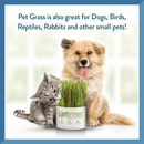 Pet Grass Easy-Glow Kit, Garden (Bag) - J & J Pet Club - Pet Greens