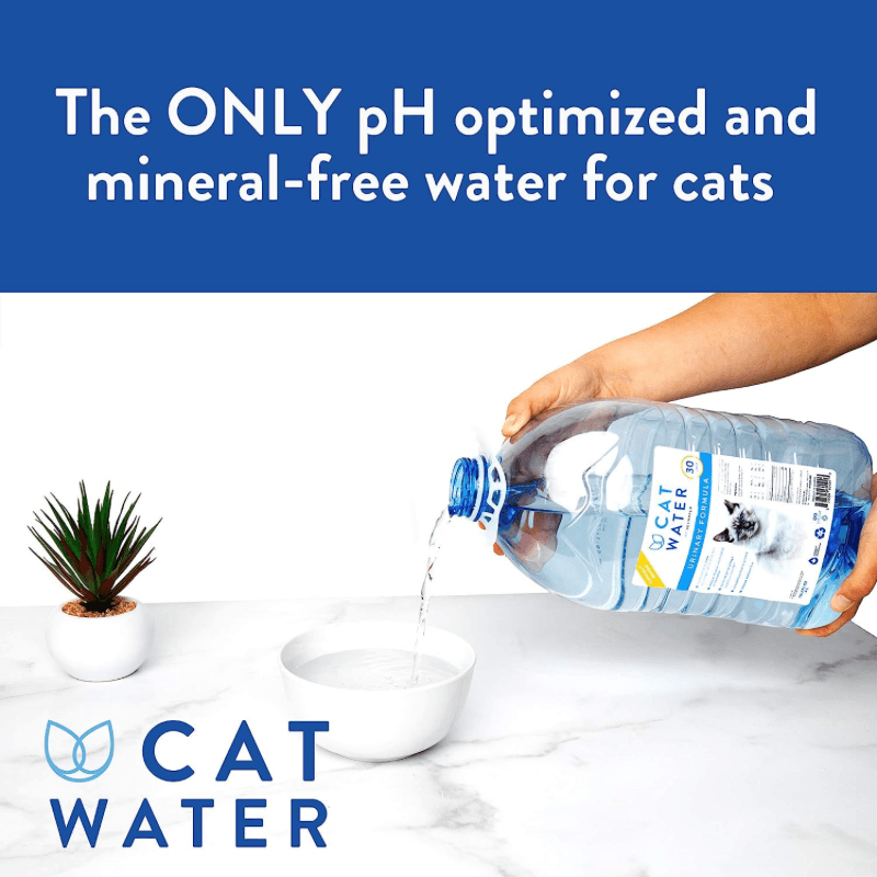 PH Balanced & Mineral-Free Cat Water (Urinary Formula), 500 mL - J & J Pet Club - Vet Water