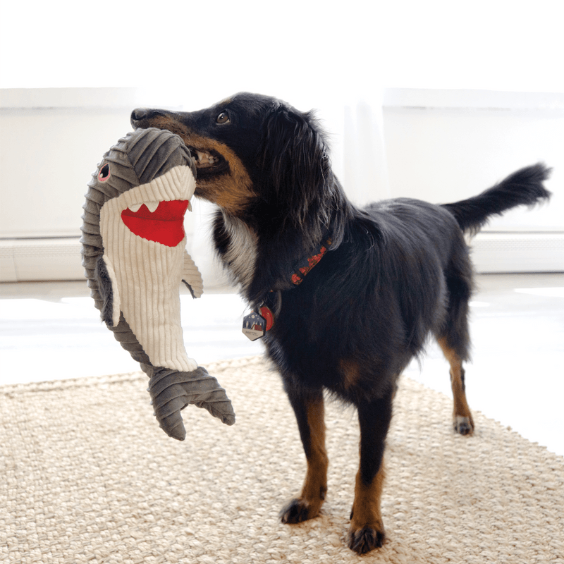 Plush Dog Toy - CuteSeas Rufflez Shark - J & J Pet Club - Kong