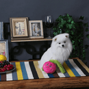 Plush Dog Toy - Feisty Veggie - Radish - J & J Pet Club - HugSmart