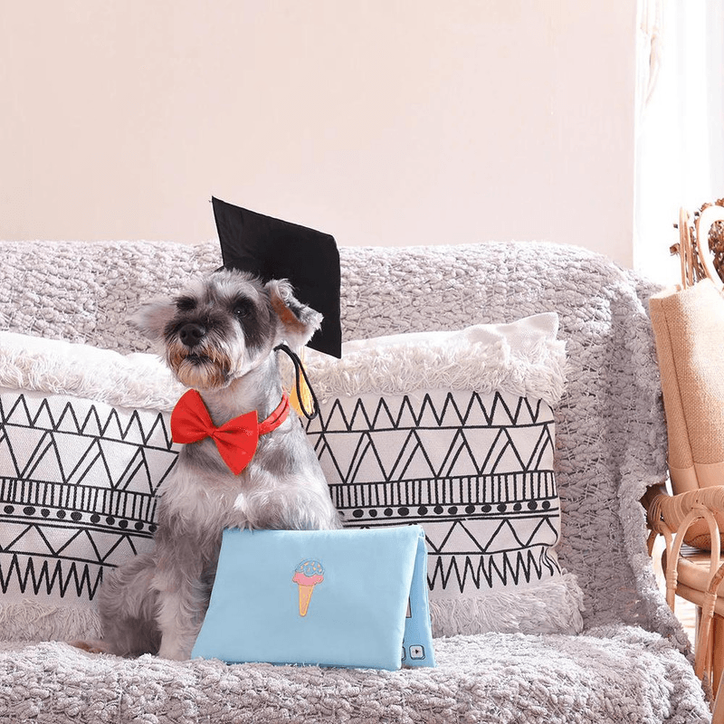 Plush Dog Toy - Pooch Academy - Laptop - J & J Pet Club - HugSmart