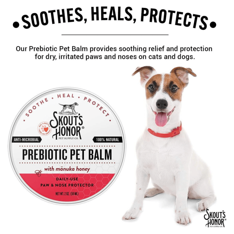 Prebiotic Paw & Nose Balm with Manuka Honey For Dogs & Cats - 2 oz - J & J Pet Club - Skout's Honor