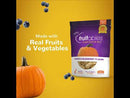 Crunchy Baked Dog Treat - Pumpkin & Blueberry Flavor