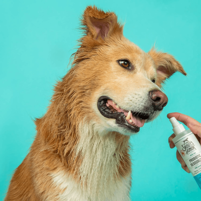 Probiotic Deodorizer For Dogs & Cats - Fragrance Free - 8 oz - J & J Pet Club - Skout's Honor