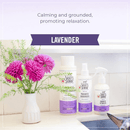 Probiotic Deodorizer For Dogs & Cats - Fragrance Lavender - 8 oz - J & J Pet Club - Skout's Honor