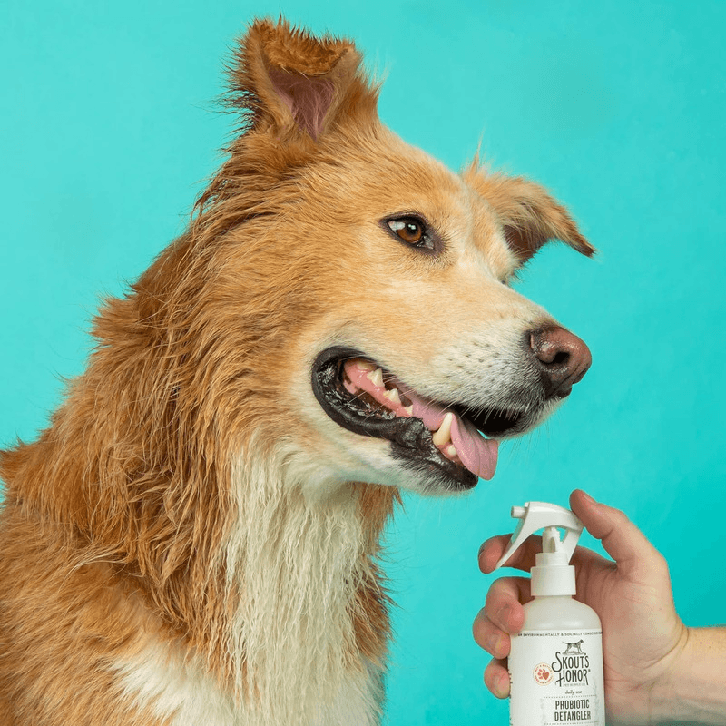 Probiotic Detangler For Dogs & Cats - Fragrance Lavender - 8 oz - J & J Pet Club - Skout's Honor