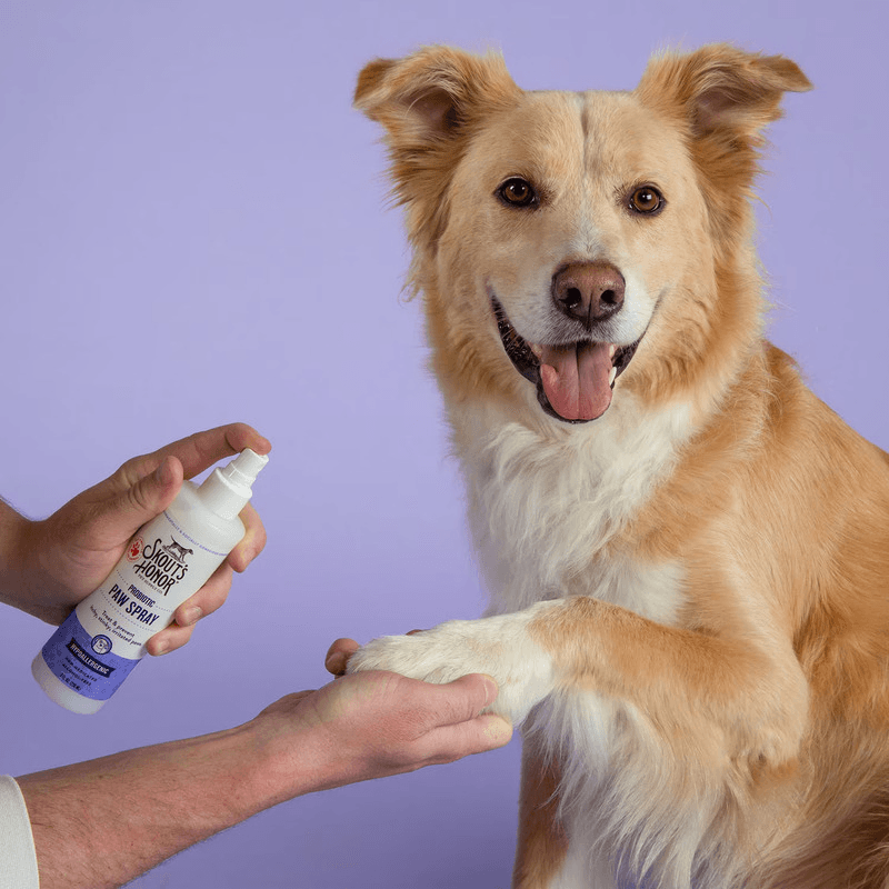 Probiotic Paw Spray For Dogs & Cat - Hypoallergenic - 8 oz - J & J Pet Club - Skout's Honor