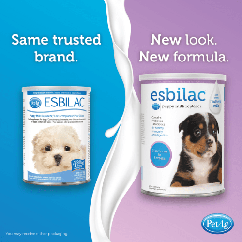 Puppy Milk Replacer Powder - Esbilac - Dog Newborn Nutrition - 12 oz - J & J Pet Club - PetAg