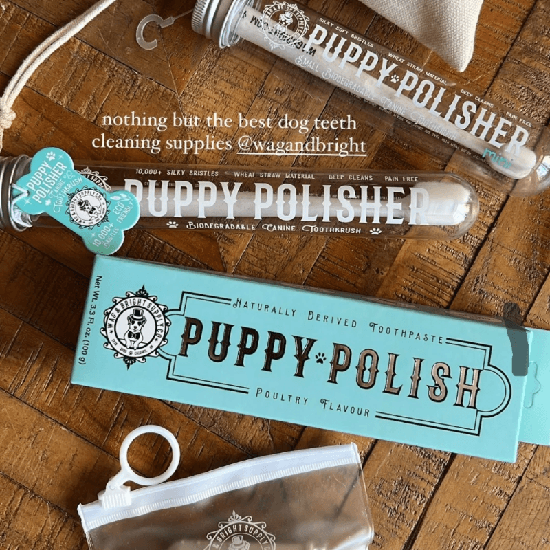 Puppy Polish Toothpaste - 3.5 oz - J & J Pet Club - Wag & Bright