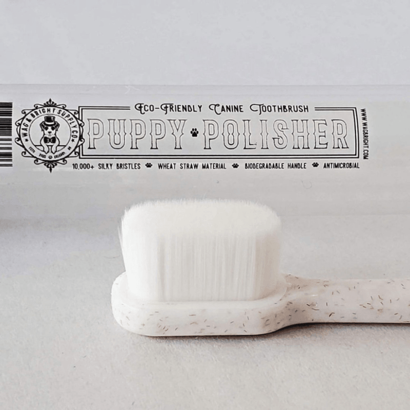Puppy Polisher Eco Toothbrush (M/LG) - J & J Pet Club - Wag & Bright