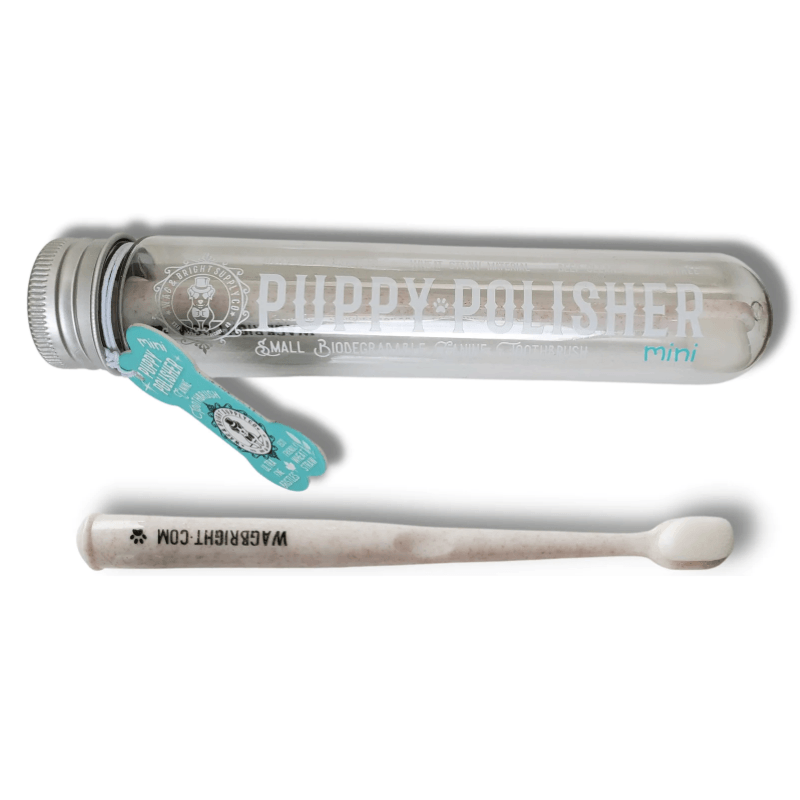 Puppy Polisher Mini Eco Toothbrush (S/M) - J & J Pet Club - Wag & Bright