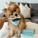 Puppy Polisher Mini Eco Toothbrush (S/M) - J & J Pet Club - Wag & Bright