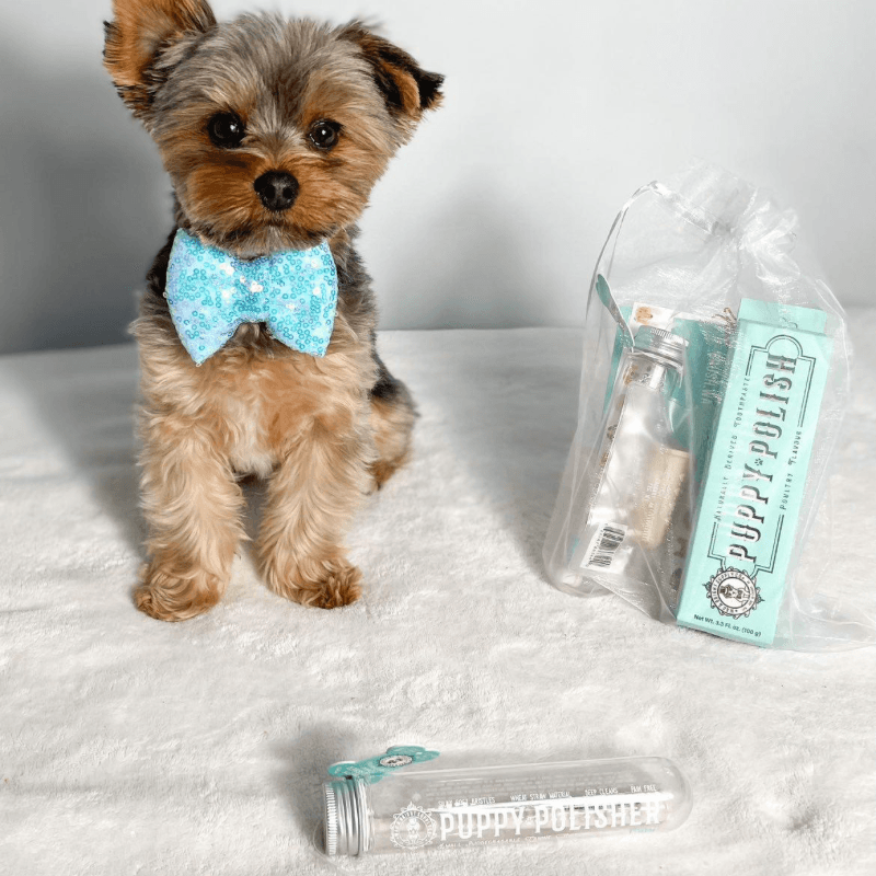 Puppy Polisher Pearl Eco Toothbrush (XS/S) - J & J Pet Club - Wag & Bright