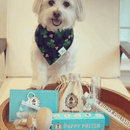 Puppy Polisher Silicone BPA Free Finger Brush - J & J Pet Club - Wag & Bright