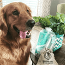 Puppy Polisher Silicone BPA Free Finger Brush - J & J Pet Club - Wag & Bright