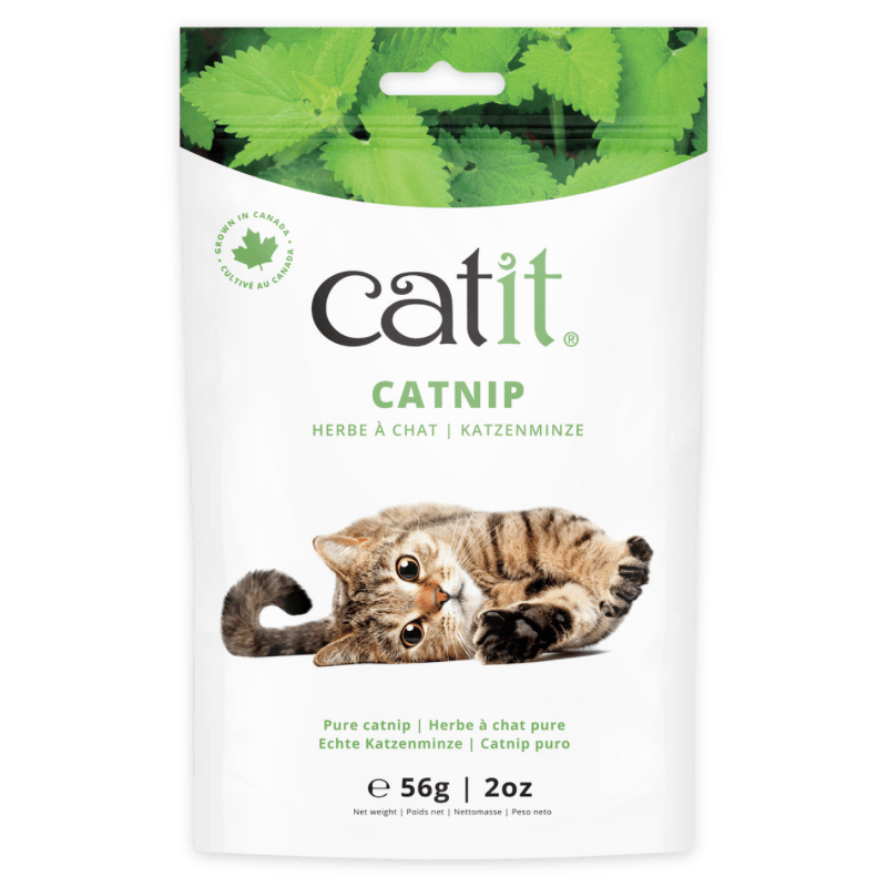 Pure Catnip - J & J Pet Club - Catit