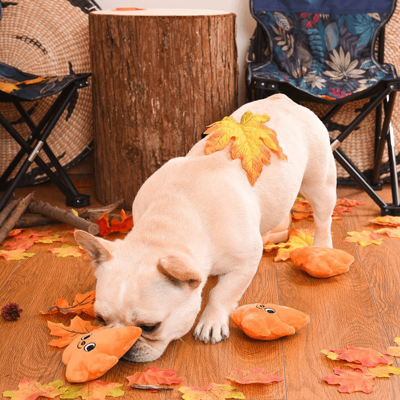 Puzzle Hunter Dog Toy - Autumn Tailz - Leaf Bag - J & J Pet Club - HugSmart
