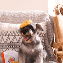 Puzzle Hunter Dog Toy - Food Party - Onion Ring - J & J Pet Club - HugSmart