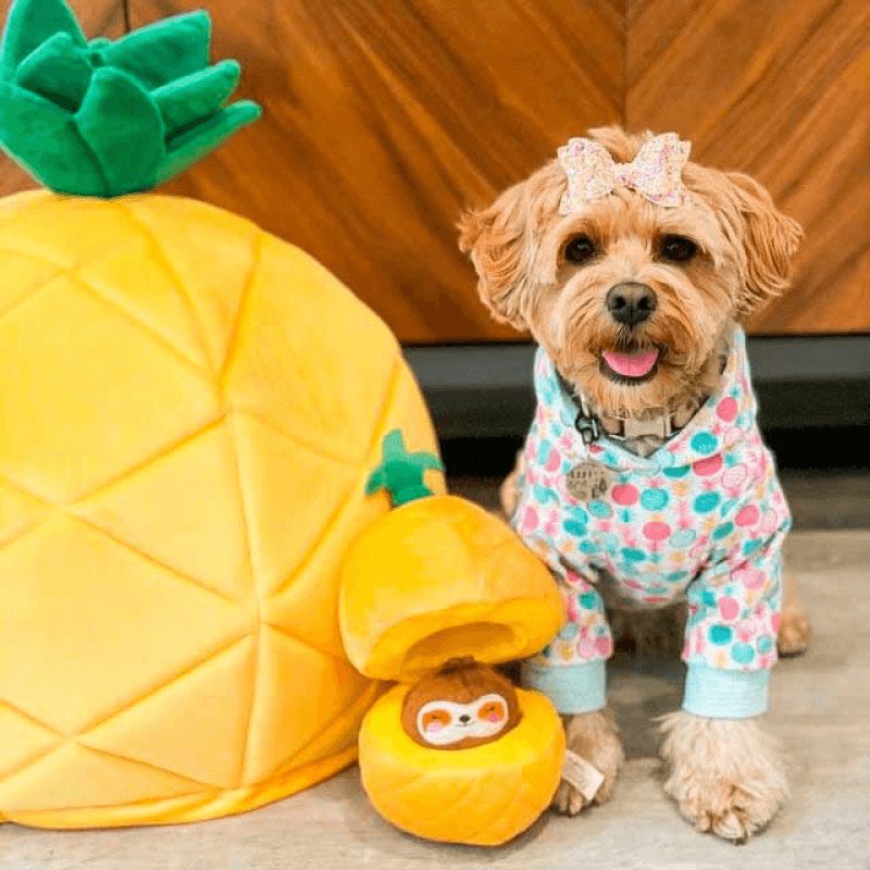 Puzzle Hunter Dog Toy - Fruity Critterz - Pineapple - J & J Pet Club - HugSmart