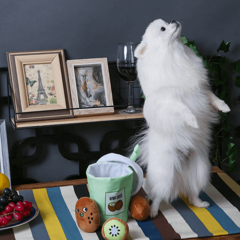 Puzzle Hunter Dog Toy - Green Sunshine - Kiwi Juice - J & J Pet Club - HugSmart