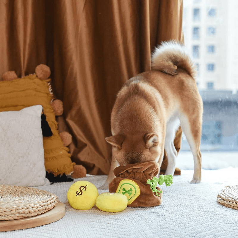 Puzzle Hunter Dog Toy - Pirate Pups - Treasure Bag - J & J Pet Club - HugSmart