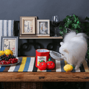 Puzzle Hunter Dog Toy - Sunday Tomato - Tomato Can - J & J Pet Club - HugSmart