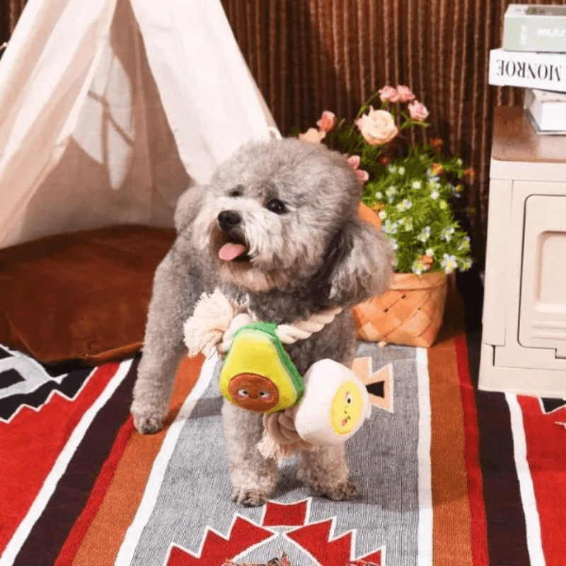 Rope Dog Toy - Avocado, Toast and Egg - J & J Pet Club - HugSmart