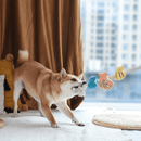 Rope Dog Toy - Priate Pups - Shell Necklace - J & J Pet Club - HugSmart