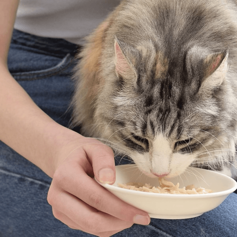 Side Dish Cat Treat - CHICKEN BROTH - Chicken & Tuna Recipe - 1.76 oz pouch - J & J Pet Club - Inaba