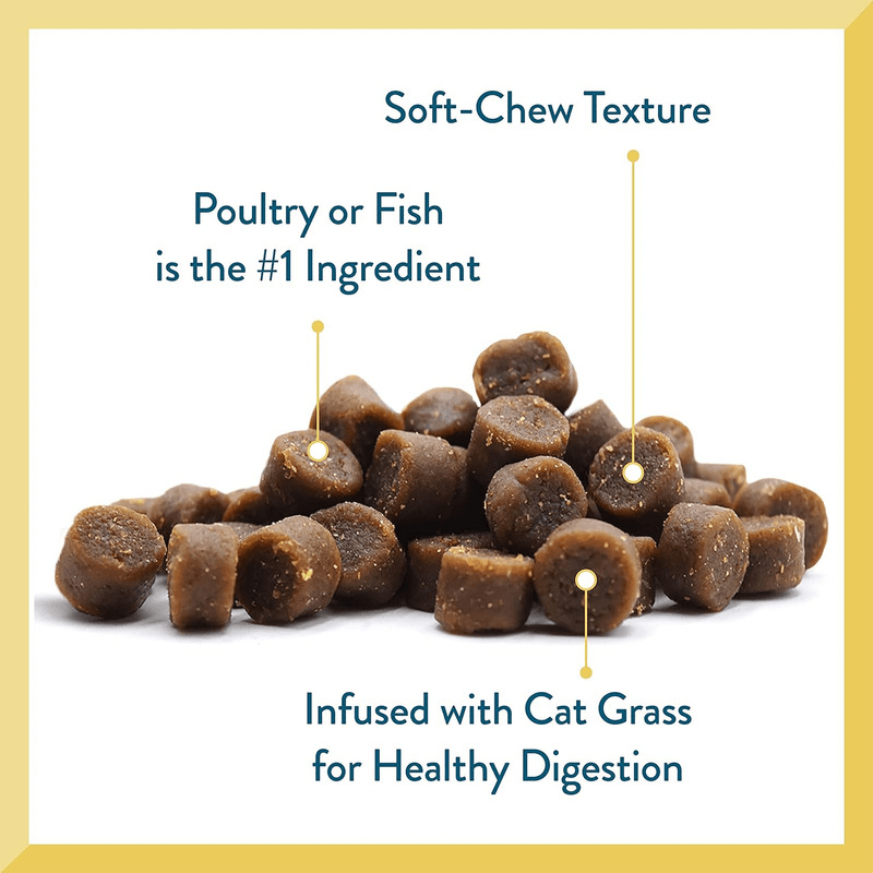 Soft & Chewy Cat Treat - Cat Craves - Salmon Recipe - 3 oz - J & J Pet Club - Pet Greens