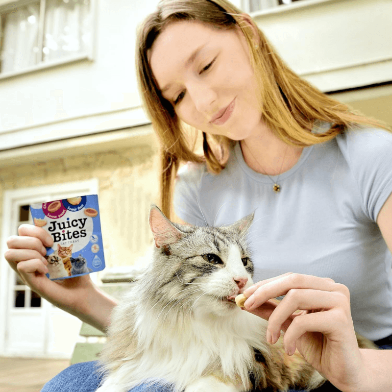 Soft & Chewy Cat Treat - JUICY BITES - Homestyle Broth and Calamari Flavors - 0.4 oz pouch, pack of 3* - J & J Pet Club - Inaba