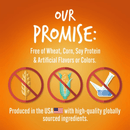 Soft & Chewy Dog Treat - Skinny Minis - Pumpkin & Mango Flavor - 5 oz - J & J Pet Club - Fruitables