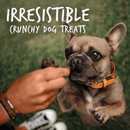 Soft & Chewy Dog Treat - Skinny Minis - Rotisserie Chicken Flavor - 5 oz - J & J Pet Club - Fruitables