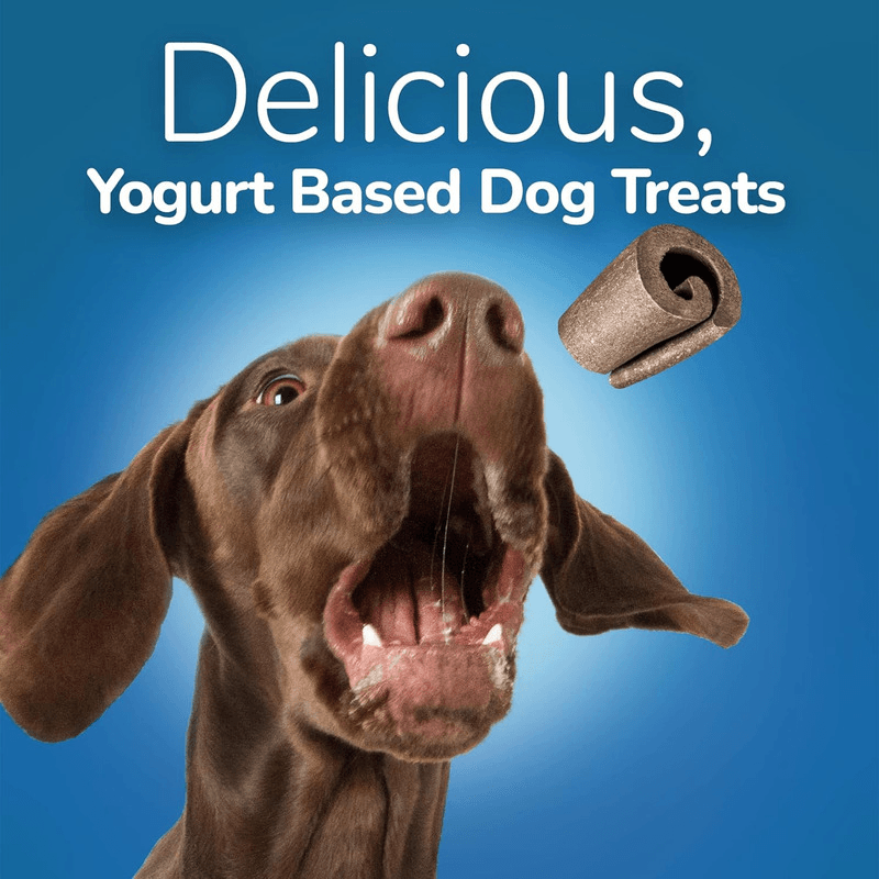 Soft & Chewy Dog Treat - YOGOS - Real Yogurt & Blueberry - 12 oz - J & J Pet Club - Fruitables