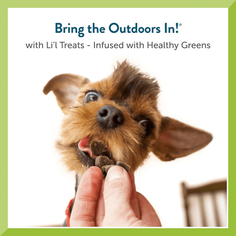 Soft Mini Dog Treat - Li’l Treats - Chicken Recipe - 6 oz - J & J Pet Club - Pet Greens