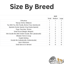 Soft Shield Boots - Black Reflective - 4 pcs - J & J Pet Club - Canada Pooch