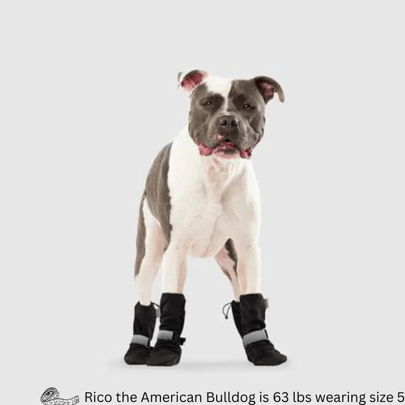 Soft Shield Boots - Black Reflective - 4 pcs - J & J Pet Club - Canada Pooch