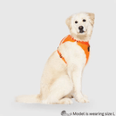 The Everything Harness - Mesh Series - Orange - J & J Pet Club - Canada Pooch