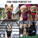 The Everything Harness - Mesh Series - Orange - J & J Pet Club - Canada Pooch