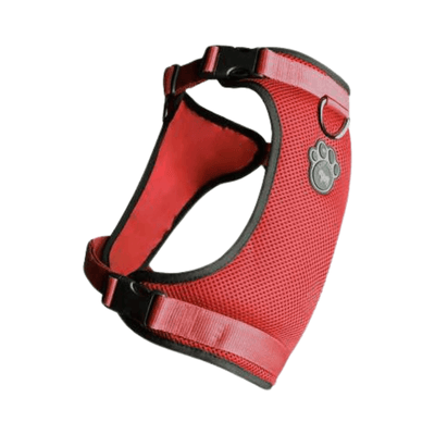 The Everything Harness - Mesh Series - Red - J & J Pet Club - Canada Pooch