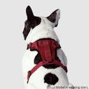 The Everything Harness - Mesh Series - Red - J & J Pet Club - Canada Pooch
