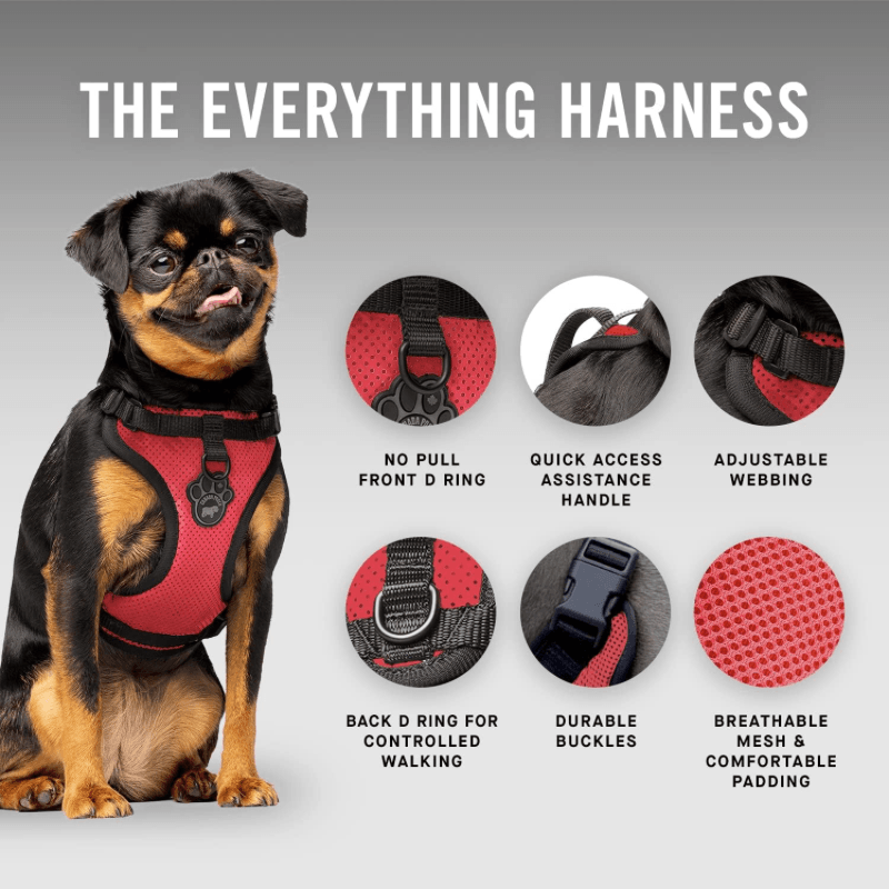The Everything Harness - Mesh Series - Red - J & J Pet Club - Canada Pooch