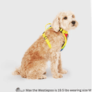 The Everything Harness, Water-Resistant Series, Rainbow - J & J Pet Club - Canada Pooch