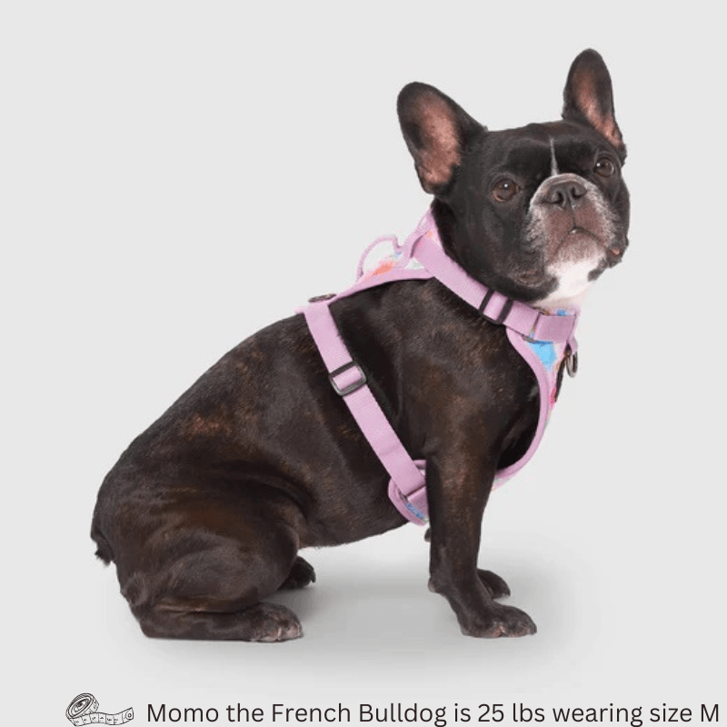 The Everything Harness, Water-Resistant Series, Tie Dye - J & J Pet Club - Canada Pooch
