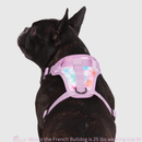 The Everything Harness, Water-Resistant Series, Tie Dye - J & J Pet Club - Canada Pooch