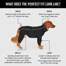 The Slush Suit - Black - J & J Pet Club - Canada Pooch