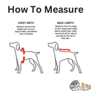 Torrential Tracker - Yellow - J & J Pet Club - Canada Pooch