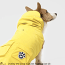 Torrential Tracker - Yellow - J & J Pet Club - Canada Pooch