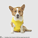 Torrential Tracker - Yellow - J & J Pet Club - Canada Pooch